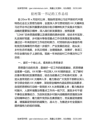 驻村第一书记的工作总结