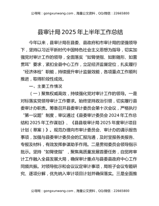 县审计局2025年上半年工作总结