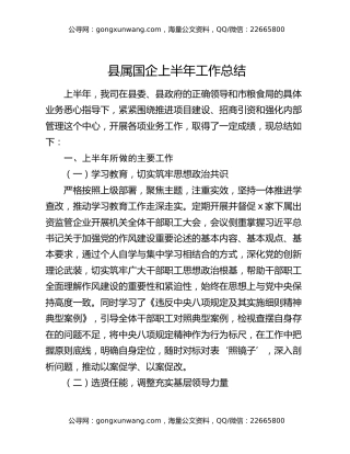 县属国企上半年工作总结