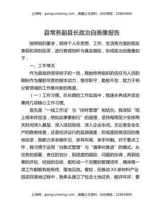 县常务副县长政治自画像报告