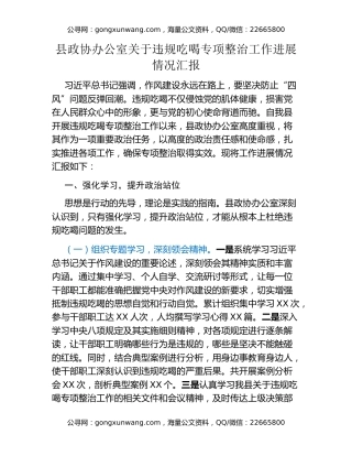 县政协办公室关于违规吃喝专项整治工作进展情况汇报