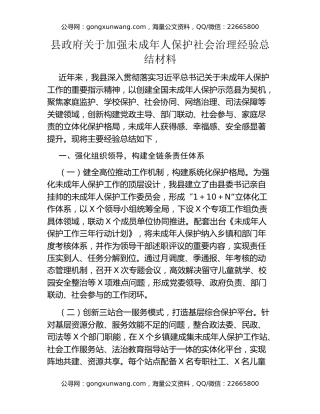 县政府关于加强未成年人保护社会治理经验总结材料