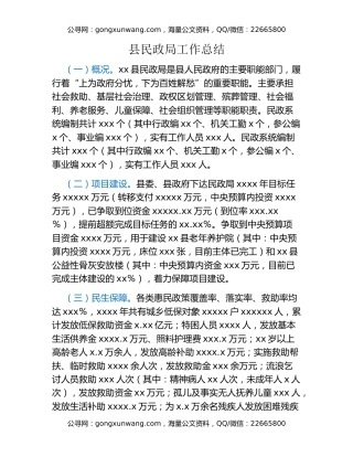 县民政局工作总结