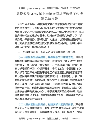 县税务局2025年上半年全面从严治党工作情况总结报告
