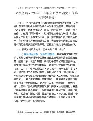县税务局2025年上半年全面从严治党工作落实情况报告