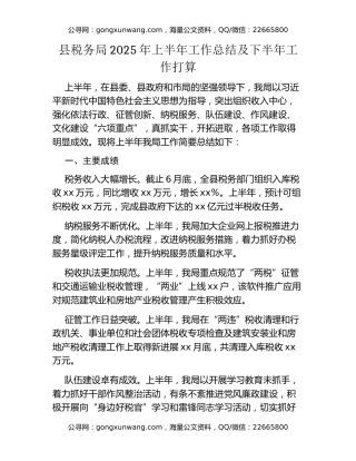 县税务局2025年上半年工作总结及下半年工作打算