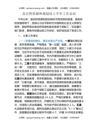 县自然资源和规划局上半年工作总结