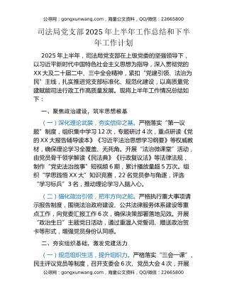 司法局党支部2025年上半年工作总结和下半年工作计划