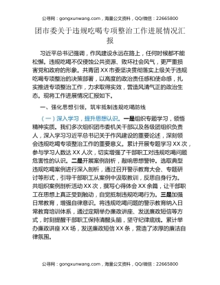 团市委关于违规吃喝专项整治工作进展情况汇报