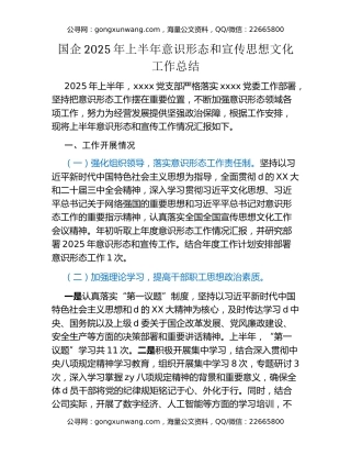 国企2025年上半年意识形态和宣传思想文化工作总结
