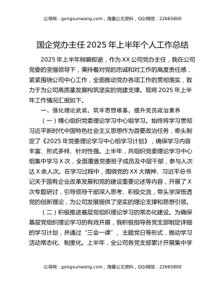 国企党办主任2025年上半年个人工作总结