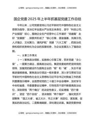 国企党委2025年上半年抓基层党建工作总结