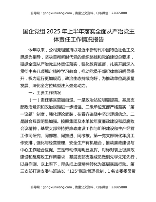 国企党组2025年上半年落实全面从严治党主体责任工作情况报告