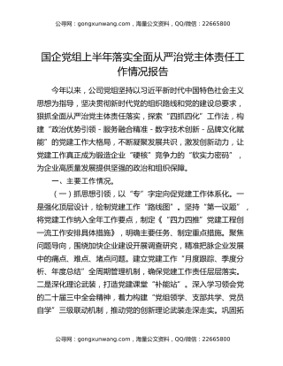 国企党组上半年落实全面从严治党主体责任工作情况报告