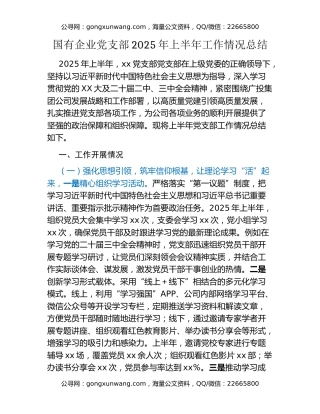 国有企业党支部2025年上半年工作情况总结