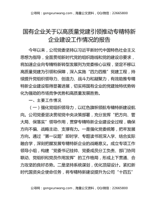 国有企业关于以高质量党建引领推动专精特新企业建设工作情况的报告