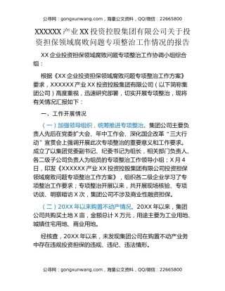 国有企业关于投资担保领域腐败问题专项整治工作情况的报告