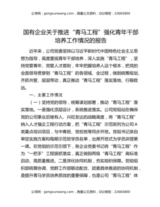 国有企业关于推进“青马工程”强化青年干部培养工作情况的报告 (2)
