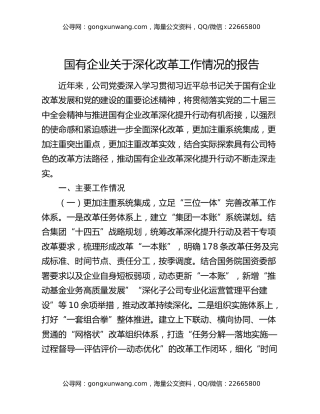 国有企业关于深化改革工作情况的报告