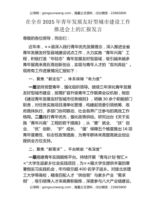 在全市2025年青年发展友好型城市建设工作推进会上的汇报发言