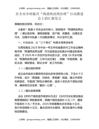 在全市乡村振兴“两清两改两治理”行动推进会上的汇报发言