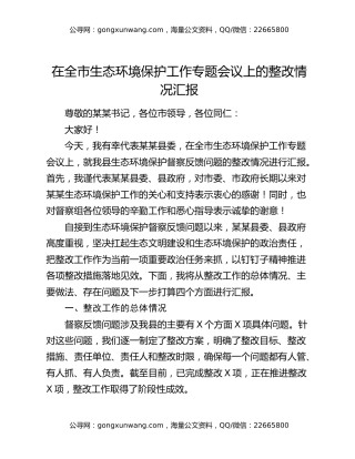 在全市生态环境保护工作专题会议上的整改情况汇报