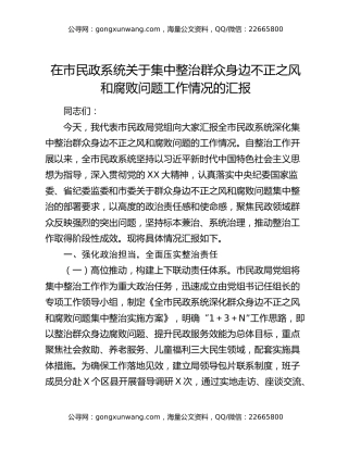 在市民政系统关于集中整治群众身边不正之风和腐败问题工作情况的汇报