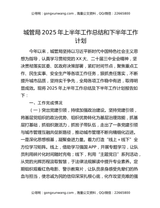 城管局2025年上半年工作总结和下半年工作计划
