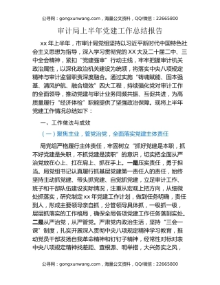 审计局上半年党建工作总结报告