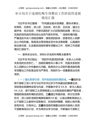 审计局关于违规吃喝专项整治工作阶段性进展情况汇报