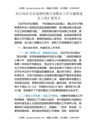 审计局在全市违规吃喝专项整治工作专题推进会上的汇报发言