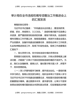 审计局在全市违规吃喝专项整治工作推进会上的汇报发言