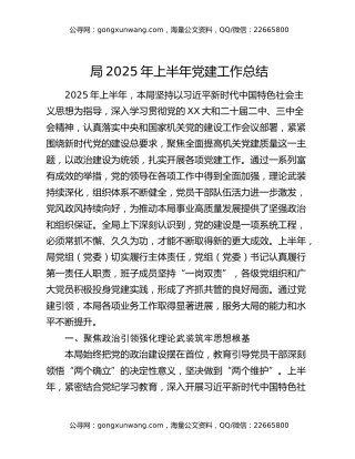 局2025年上半年党建工作总结