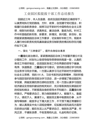 工业园区拟提拔干部工作总结报告
