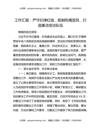 工作汇报：严守纪律红线，抵制吃喝歪风，打造廉洁信访队伍