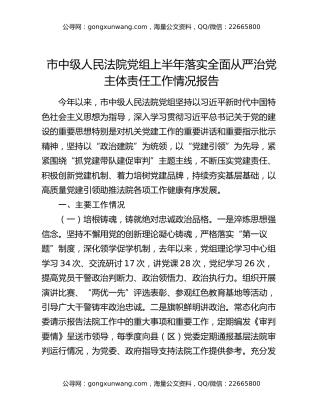 市中级人民法院党组上半年落实全面从严治党主体责任工作情况报告