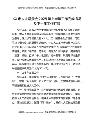 市人大常委会2025年上半年工作总结
