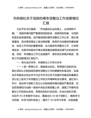 市供销社关于违规吃喝专项整治工作进展情况汇报