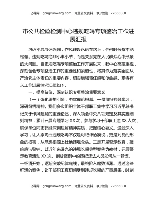 市公共检验检测中心违规吃喝专项整治工作进展汇报
