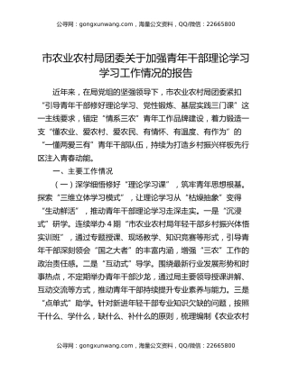 市农业农村局团委关于加强青年干部理论学习学习工作情况的报告