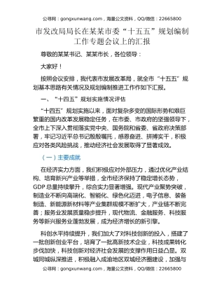 市发改局局长在某某市委“十五五”规划编制工作专题会议上的汇报