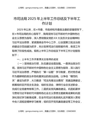 市司法局2025年上半年工作总结及下半年工作计划