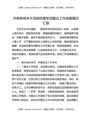 市商务局关于违规吃喝专项整治工作进展情况汇报