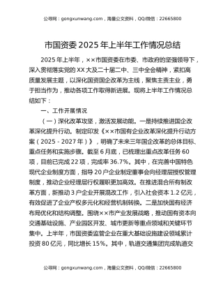 市国资委2025年上半年工作情况总结