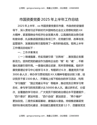 市国资委党委2025年上半年工作总结