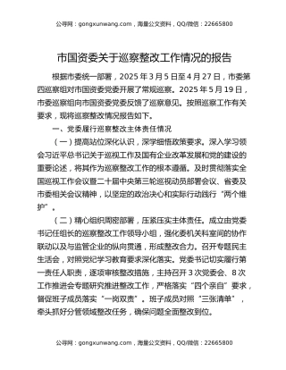 市国资委关于巡察整改工作情况的报告