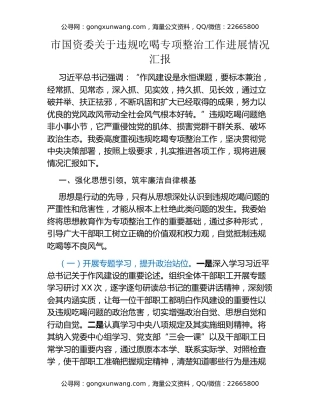 市国资委关于违规吃喝专项整治工作进展情况汇报