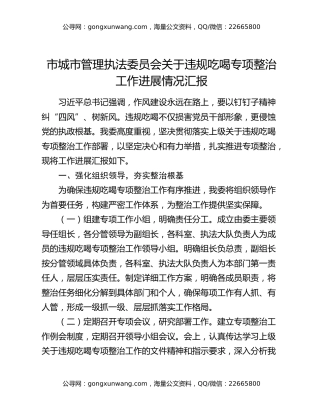 市城市管理执法委员会关于违规吃喝专项整治工作进展情况汇报