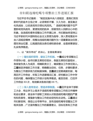 市妇联违规吃喝专项整治工作进展汇报