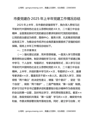 市委党建办2025年上半年党建工作情况总结